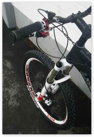 Liteville301Lenker